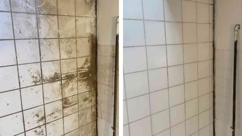 Cómo desengrasar los azulejos de la cocina, solo así eliminarás toda la suciedad
