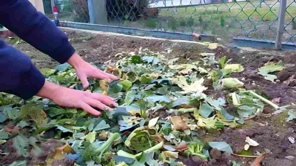 No tires los restos de las plantas del jardín, valen oro si las reutilizas así