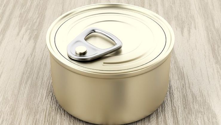 Don’t throw away tuna cans, they are worth gold in your home: how to reuse them
