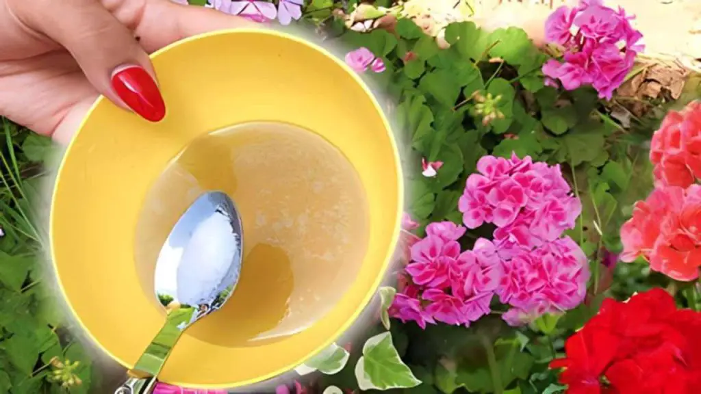 Si quieres un jardín que sea la envidia del barrio utiliza esta poderosa mezcla