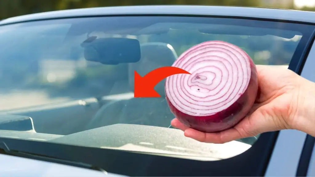 Cebolla en el parabrisas de tu coche, nunca adivinarás el gran problema que resuelve