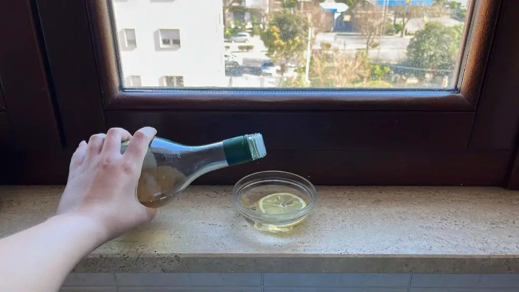 Todos están poniendo 1 plato con vinagre y limón en los alféizares de las ventanas: este es el motivo