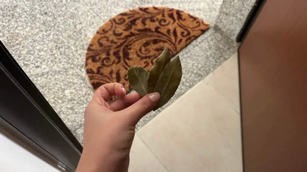 Laurel en la puerta, por eso todo el mundo la deja ahí