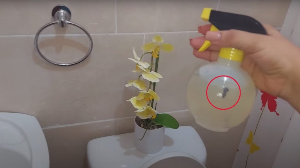 Solo si rocías esta mezcla en el baño te librarás del olor a orina para siempre