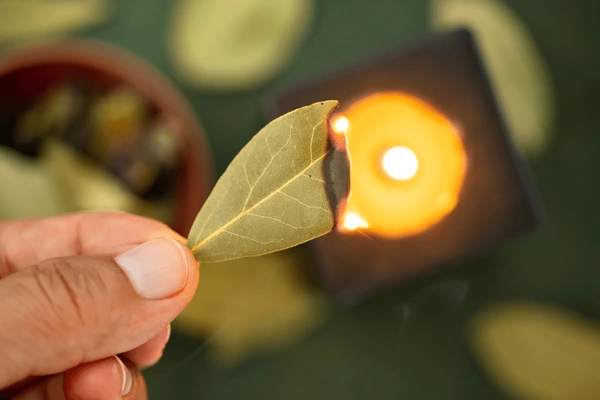 7 Benefits of Burning a Bay Leaf at Home Every Night