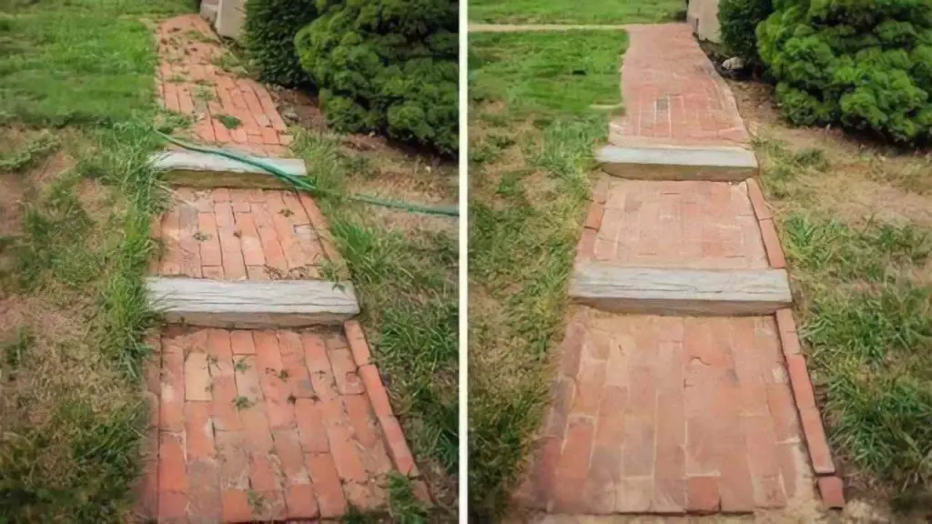 An Effective and Simple to Prepare Weed Killer: This Mixture Eliminates All Weeds
