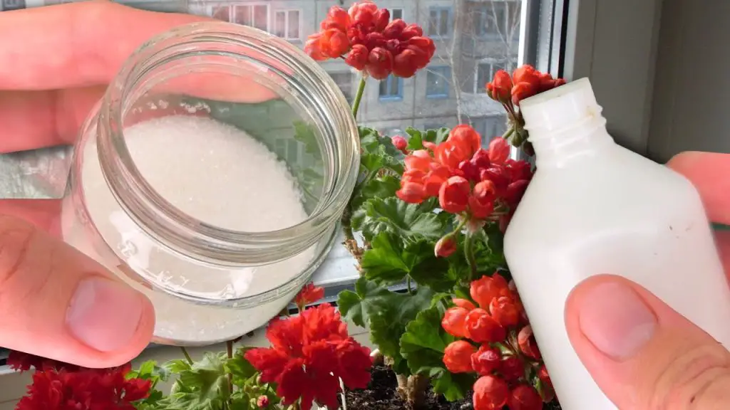 April Urgency: Revitalize Any Flower Quickly for Luxuriant Blooms!
