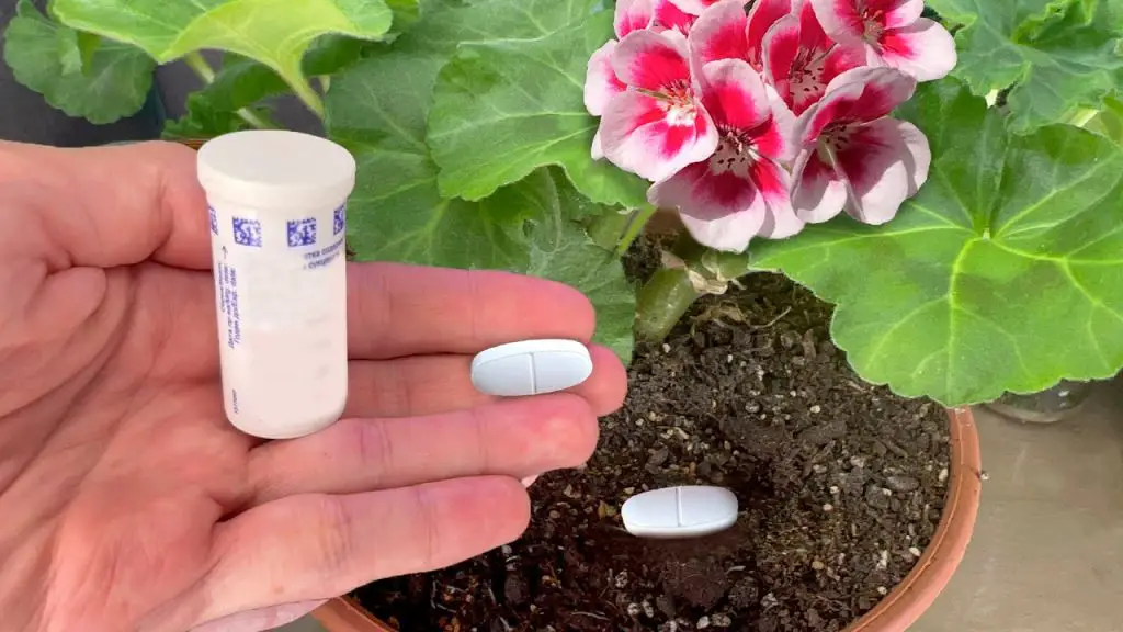 Astonishing Transformation: 1 Tablet for Every Flower in April!