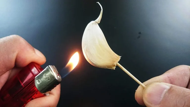 Burning Garlic at Home: What Happens After 15 Minutes