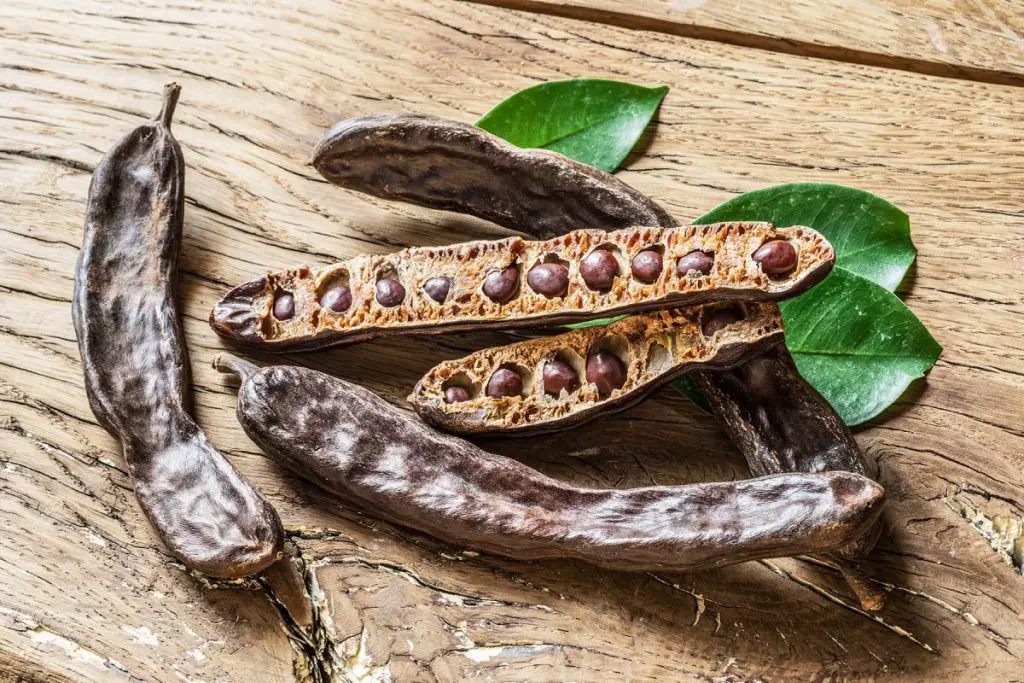 Carob:  a hidden treasure in our garden