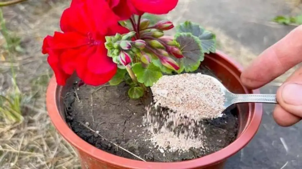 Cómo hacer compost en casa con restos de comida