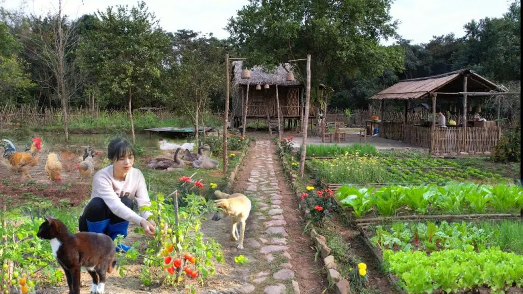 Creative Hanging Garden from Plastic Bottles: A Green Innovation