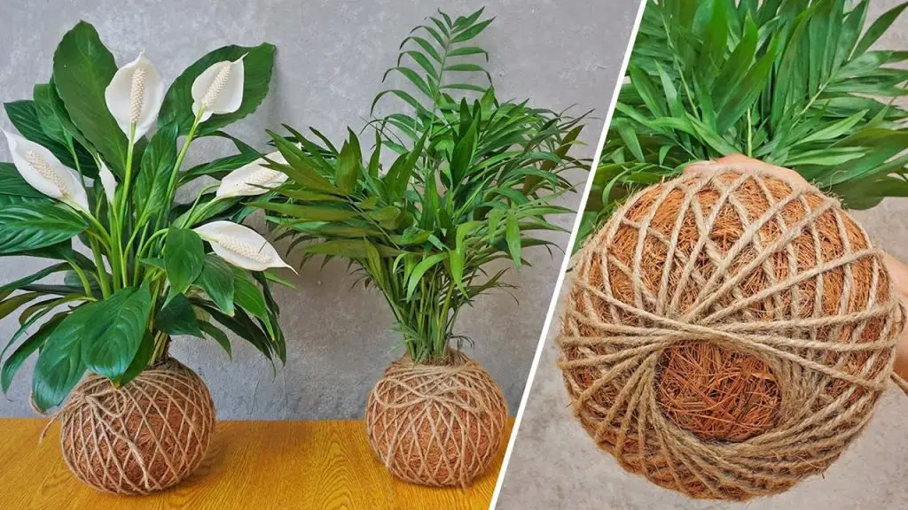 DIY Guide: Making Beautiful Coconut Fiber and Parachute Cord Pots for Home Decor