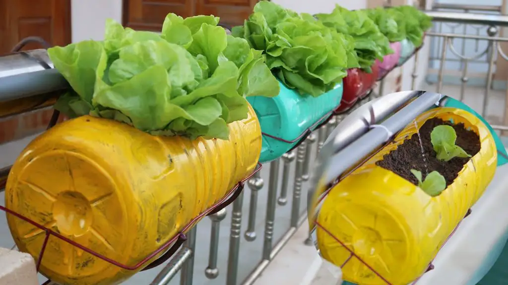 How to Create a Vibrant Balcony Garden Using Your Railing