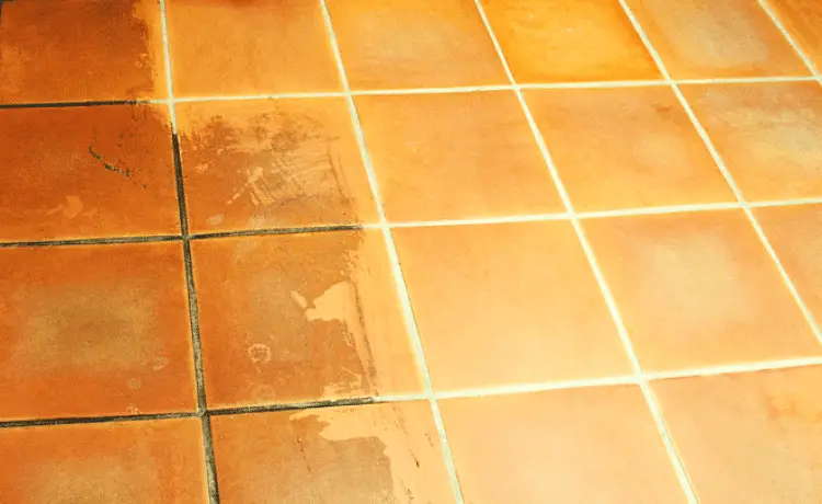 Lighten Floor Grout: The One-Swipe Trick That Makes Them Look Like New
