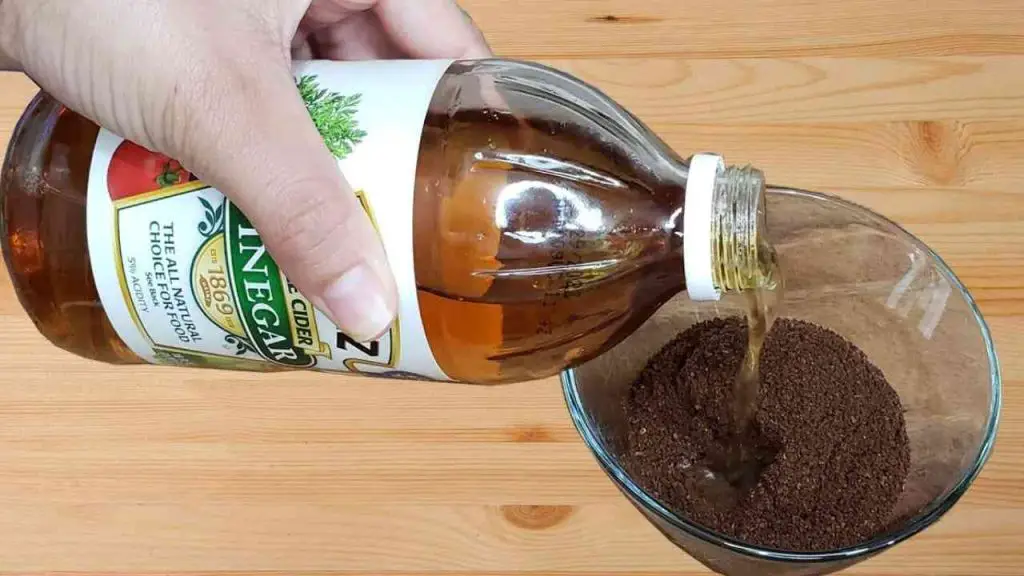 Mix Coffee and Vinegar, Here’s Why Millions of  Housewives Are Doing It