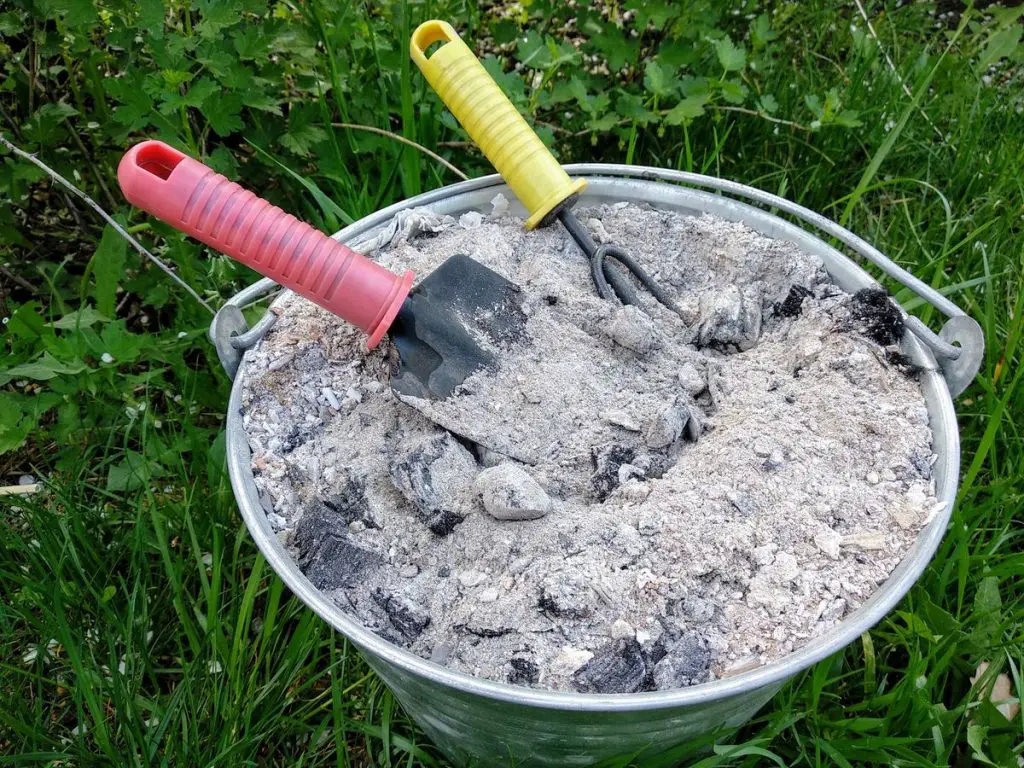 Never Plant Cucumbers Without THIS: Throw it into the Hole Immediately When Planting Cucumbers in the Ground.