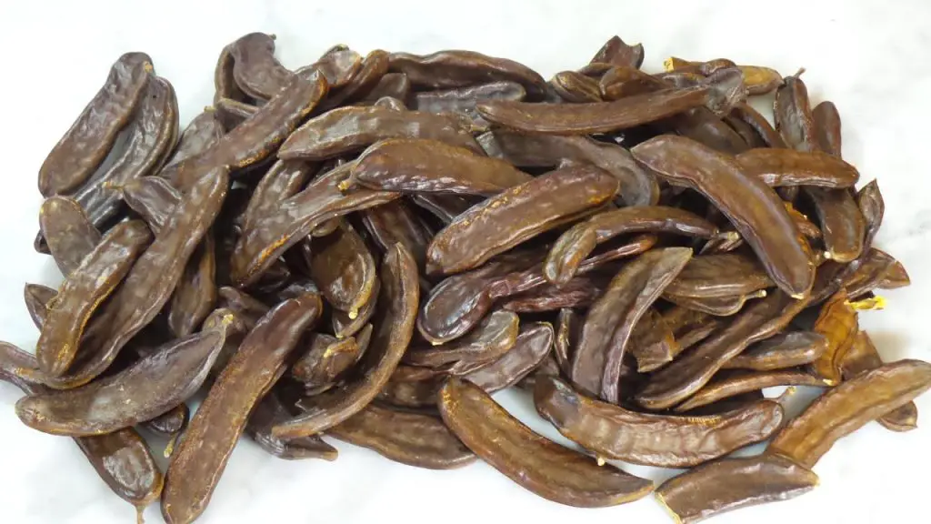 One of these almost forgotten treasures is the carob, an ancient fruit packed with remarkable nutritional properties
