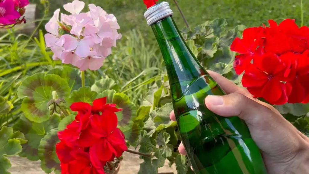 Rejuvenating Elixir Healing Water for Home Flowers Blooms Wonders!