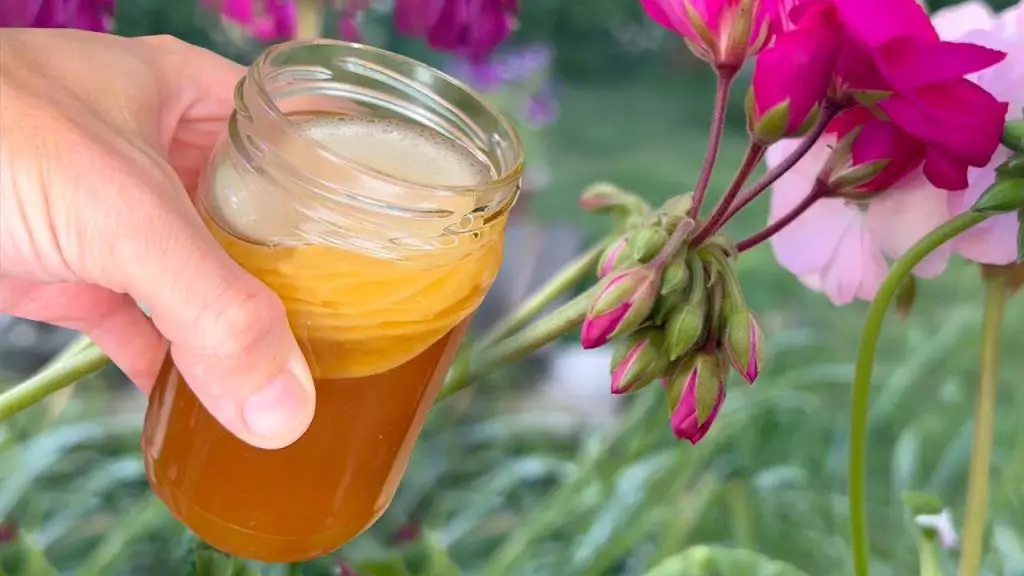 September’s Secret Garden Tip: Revive Dead Flowers for Luxuriant Blooms