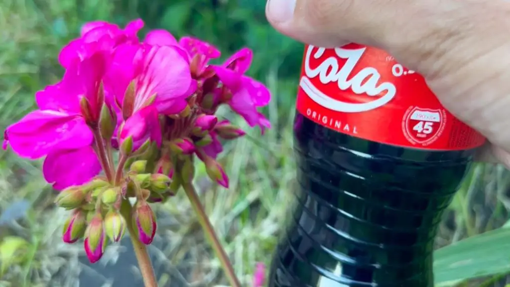 Surprising Secret: Reviving Flowers with Cola Splash!
