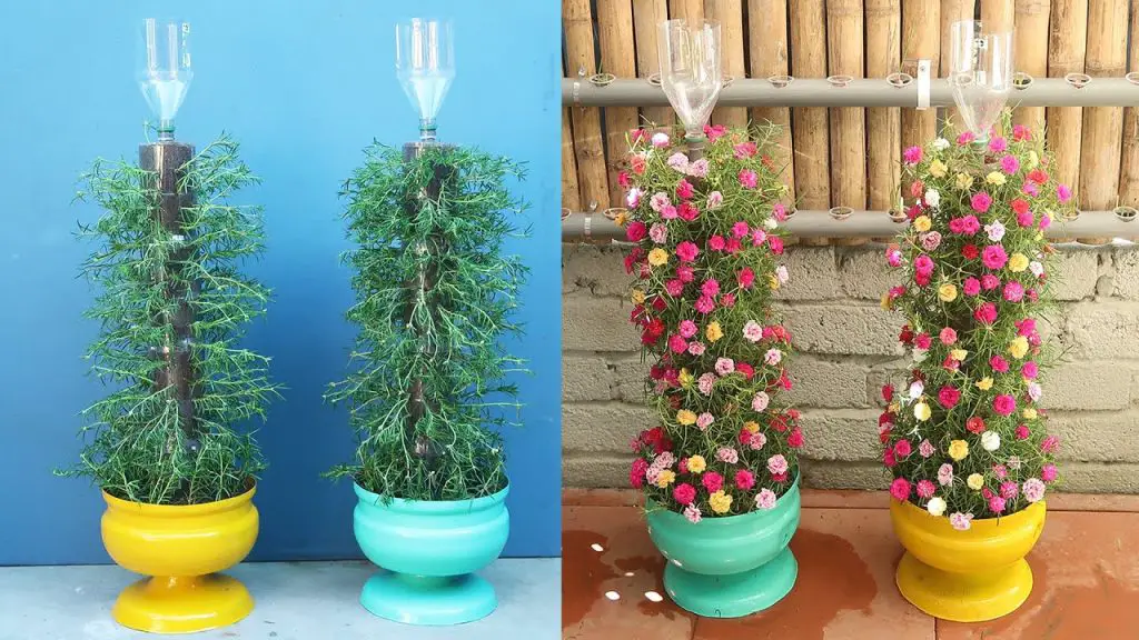 Transform Plastic Gardening Bottles into a Gorgeous Portulaca (Moss Rose) Flower Garden