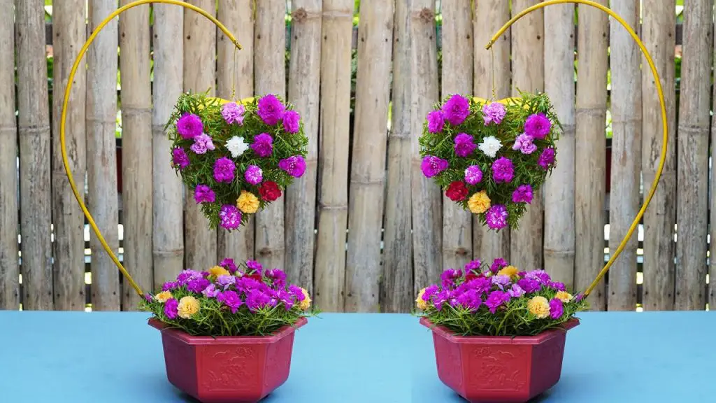 Unleash Your Creativity: Stunning Flower Garden Ideas Featuring Portulaca (Mossrose)