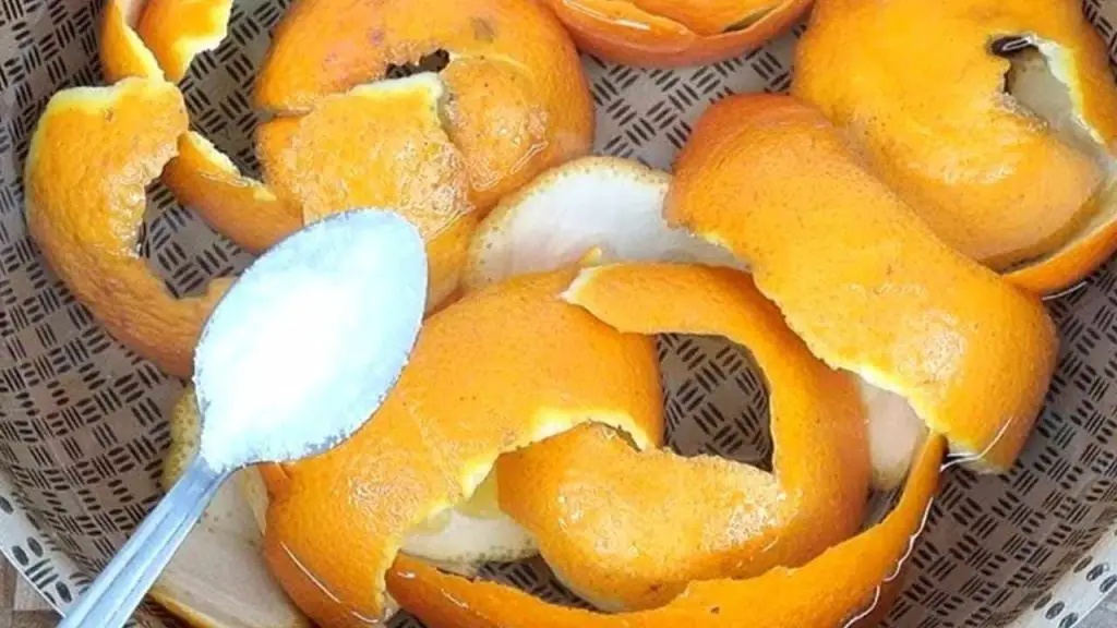 Add salt to orange peels and stop wasting money: they are worth their weight in gold in the home