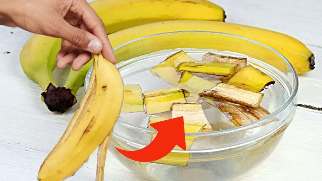 Banana peels, throwing them away is a big waste: for housewives they are worth gold | Use them like this