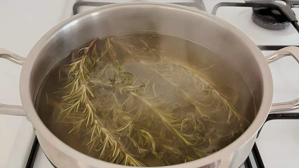 Discover the array of benefits that come with boiling a few sprigs of rosemary—soon, you won’t want to go without it