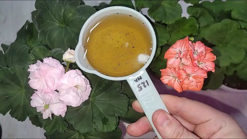 If you put this in plants they will grow endlessly: they last up to 15 years