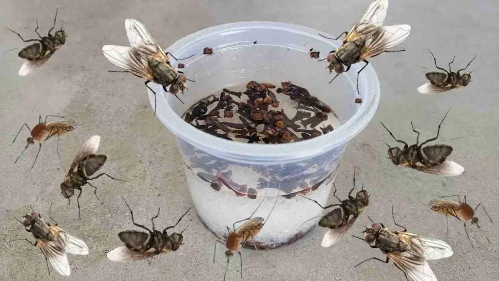 It makes flies, mosquitoes and cockroaches fly away in less than 10 minutes