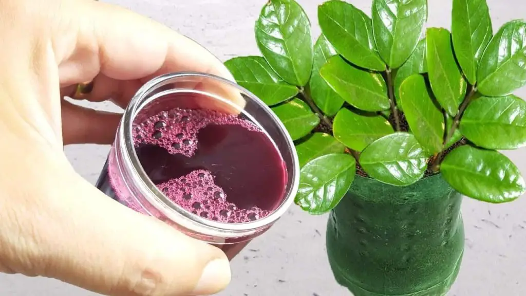 Just 1 cup makes the flowers explode in the garden – even the neighbors will notice
