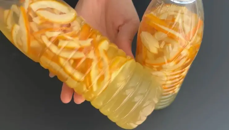 Orange peels, put them in a bottle of water: you can do anything with them | You save a lot of money at the end of the month