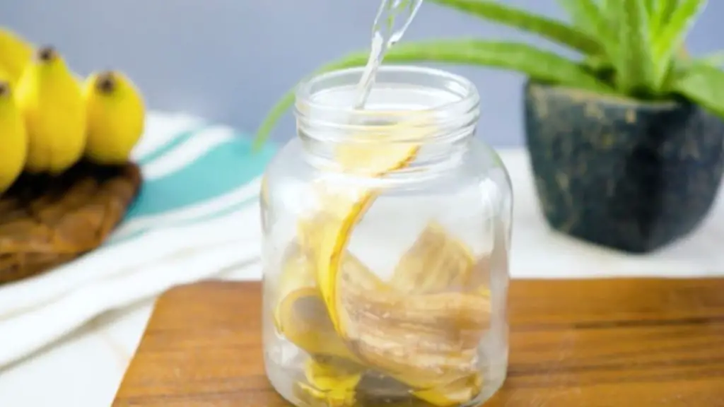 Put a banana peel in a jar of boiling water for 1 hour: what happens