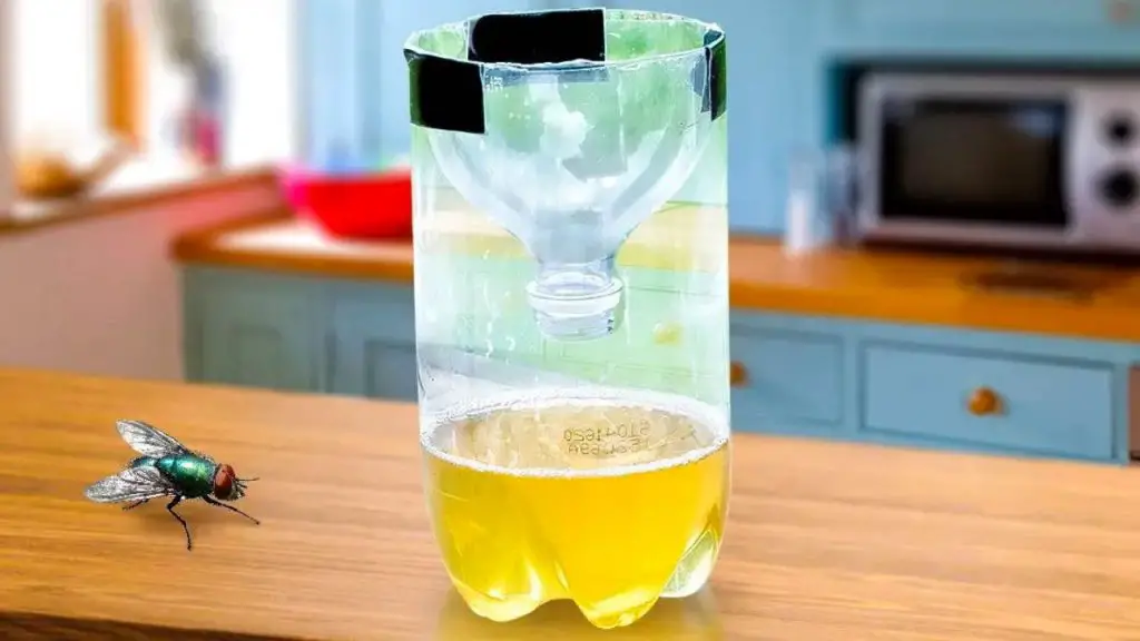 Put this in the kitchen: it keeps flies, mosquitoes and any other insects away