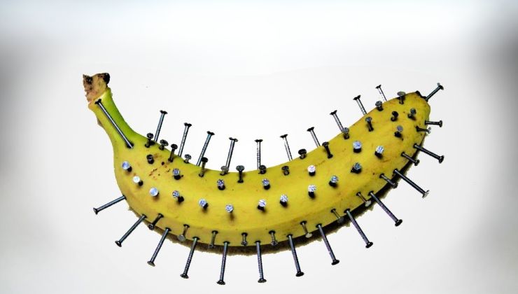 Stick nails into a banana, amazing what happens in just 10 minutes