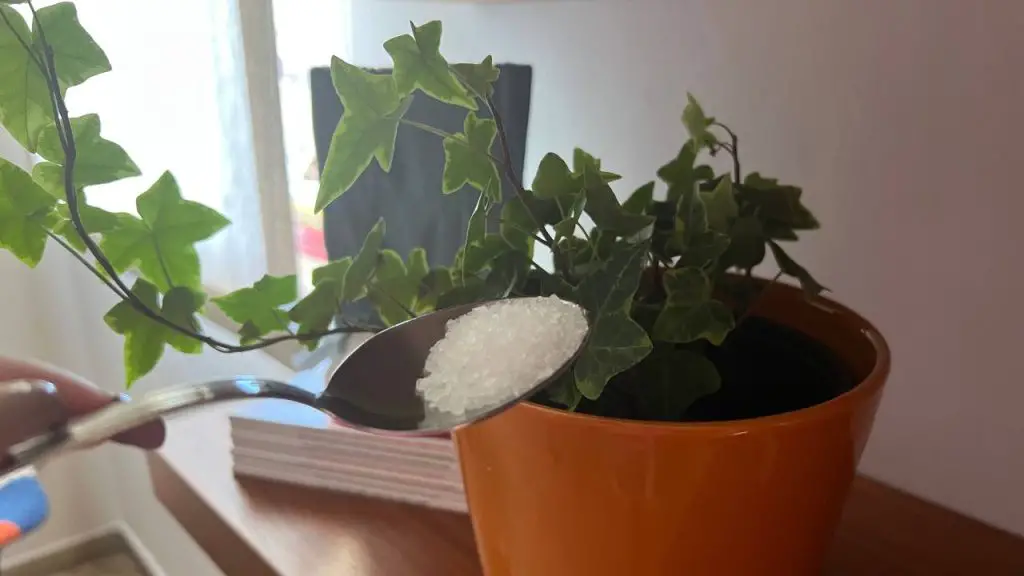Super strong organic fertilizer, will keep all your plants healthy for 12 months