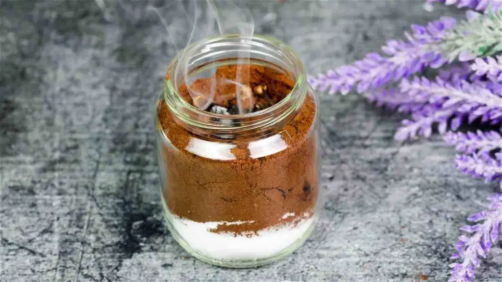 The potent natural method to keep flies, mosquitoes, and other insects away from your home