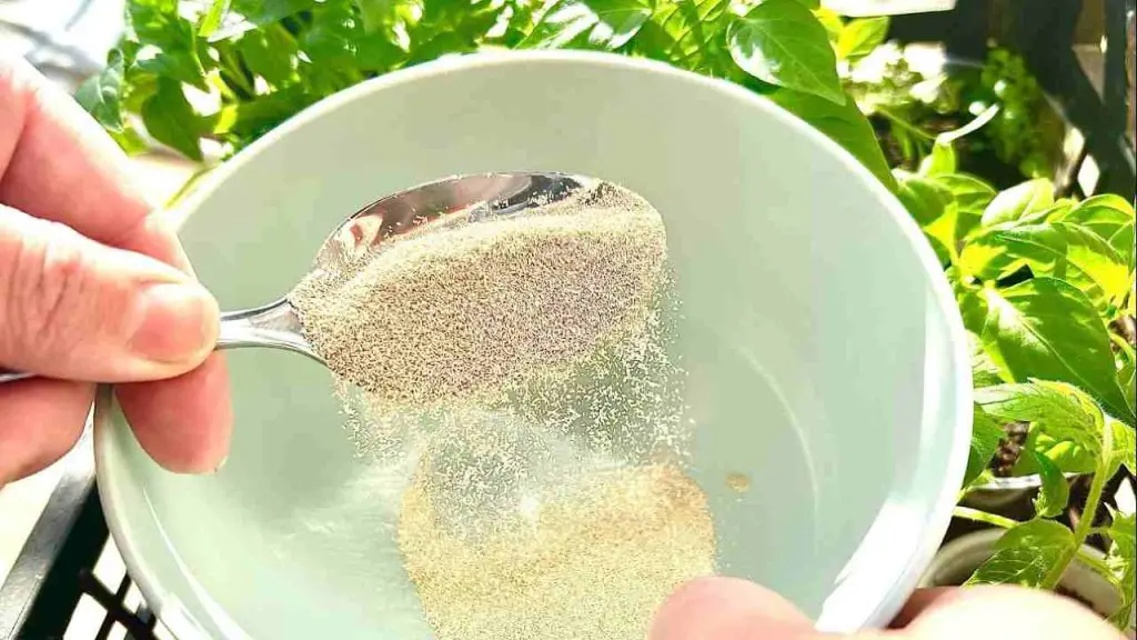 This greatly accelerates the growth of the plants you have on your balcony and garden