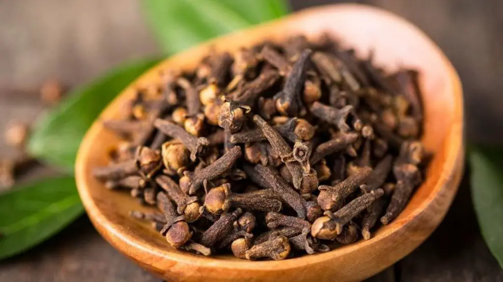 a Natural Insect Repellent with Vinegar and Cloves